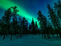 Aurora Village Ivalo